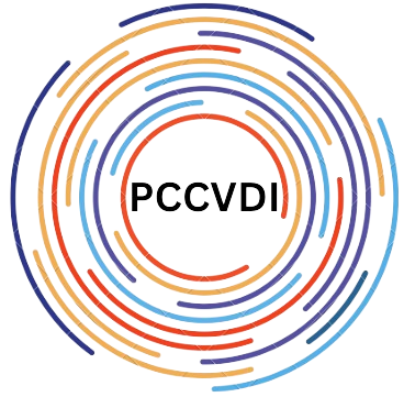 PCCVDI Solutions
